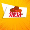 sertanejo-93-2020