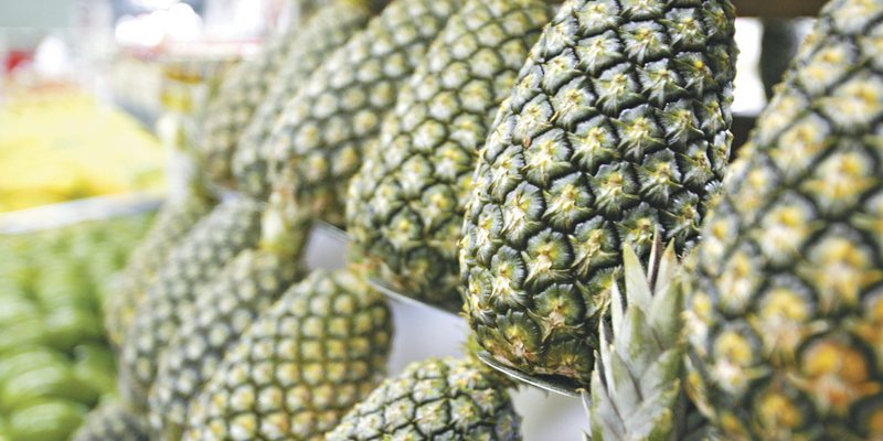 FRUTAS PREVINEM CONTRA GRIPE SUÕNA - ABACAXI, 30NE0524, 30/08/2016, NEGOCIOS, JULIANA VASQUEZ,