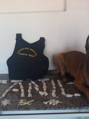 45073590_1011600515699239_5796553914983645184_n