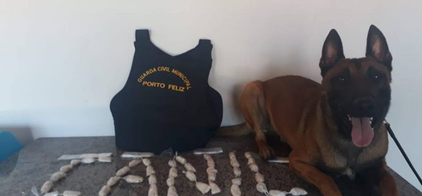 45073590_1011600515699239_5796553914983645184_n