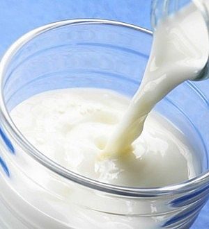 csm_leite-reproducao_d29c802c09