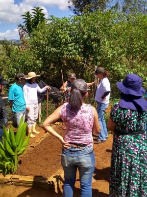 20180821160138-fileid-hortas_caseiras_-_estiva_-_agosto_2018