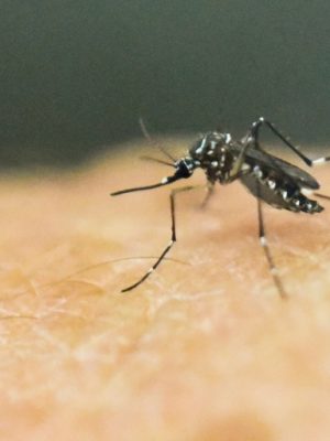 7cd03346e507ddc41754d706bae52dd03eca62ea