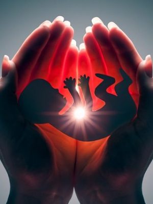 embryo silhouette in woman hand
