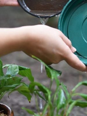 b49a7127186de92b7b712cf2ddf2608f-780x405