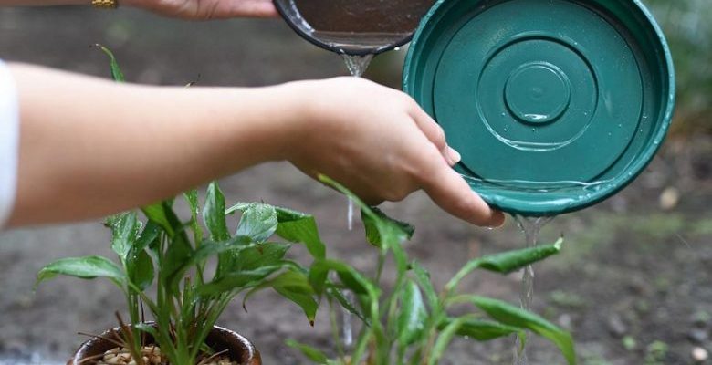 b49a7127186de92b7b712cf2ddf2608f-780x405