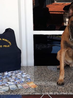 f75ff184-5995-4019-8cbd-e01ec1c1879d