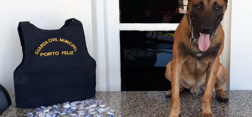 f75ff184-5995-4019-8cbd-e01ec1c1879d