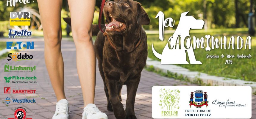 58003996_1128002427392380_3153215158789079040_o