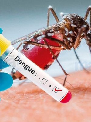 dengue1