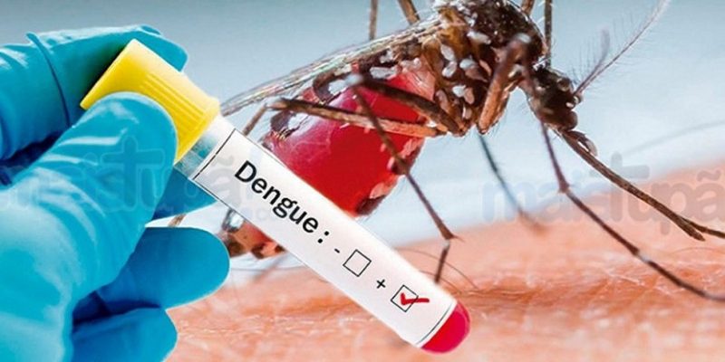 brasil-registra-quase-600-mil-casos-confirmados-de-dengue-em-2019_1561385282-b