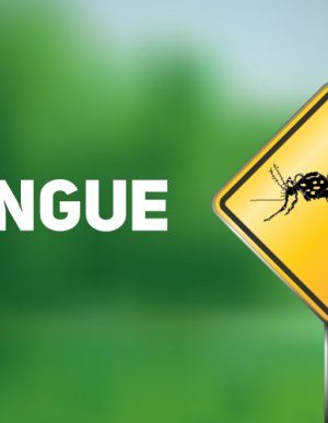 dengue-20190523-1260055657