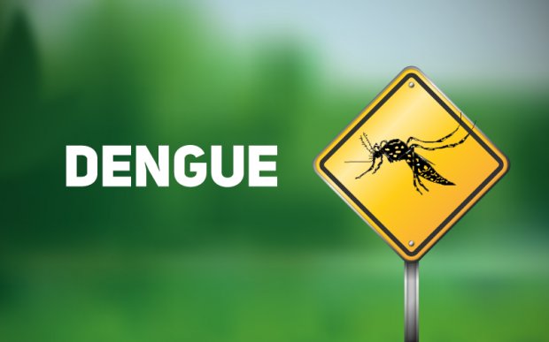 dengue-20190523-1260055657