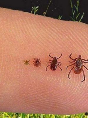 6d71ab47ee373a42c37b04ac0dc9baf2780000