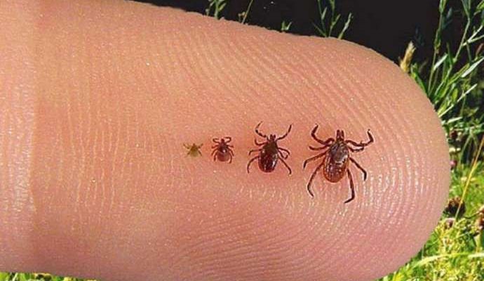 6d71ab47ee373a42c37b04ac0dc9baf2780000