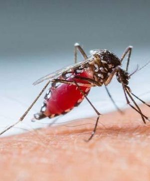 5d78f334be928aaf103730fe3a3d8d92e1b39319fd737