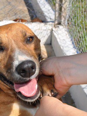 69767027_1231695617023060_1327118312911405056_n