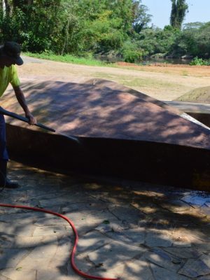 70027946_1232418370284118_6163702867795378176_o