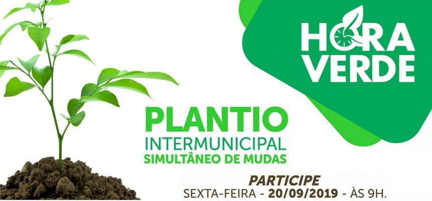 plantio_hora-verde-1300x800