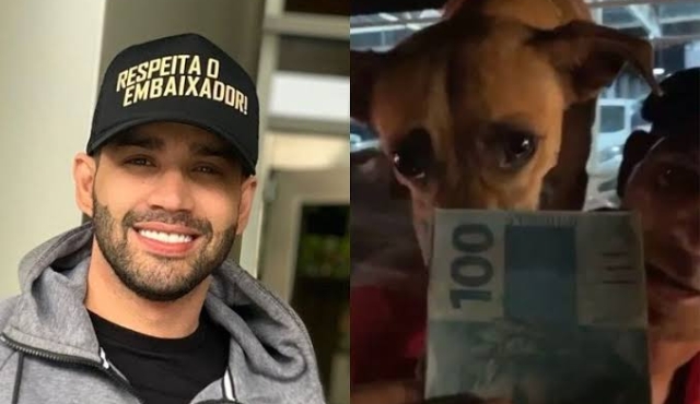 gusttavo-lima-doa-r-100-para-catador-de-latinha-e-cachorro-pega-o-dinheiro-1573235769-7